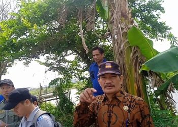 Lurah Sukajadi Banyuasin Di Duga Kongkalikong Dengan  Mafia Tanah