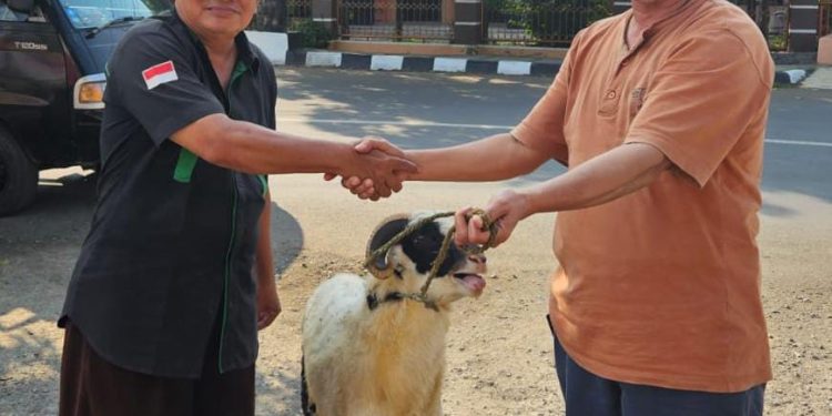 Pertamina Balongan Salurkan Hewan Qurban, Sekber FWI Sampaikan Terima Kasih