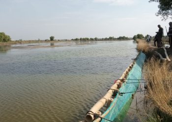 Dua Warga Kecamatan Pasekan Saling Klaim Hak Garap Tambak Udang Lahan Milik Perhutani